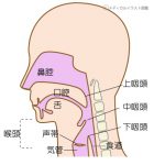 ”息を回して声を出す”ってどういうこと?