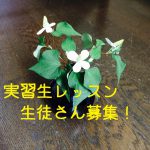 アレクサンダー・テクニーク実習生レッスン生徒募集