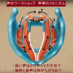 「声」のワークショップ〈声帯のメカニズム〉
