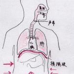 発声に必要な3つのこと