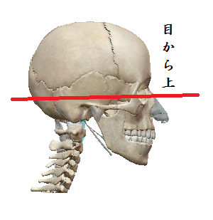 頭のマッピングで声が出し易くなる 目の上と目の下どっちが長い