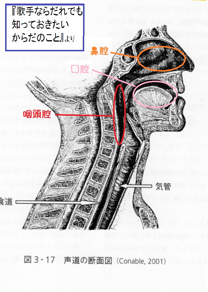 音色を作る要 咽頭腔共鳴の練習 喉をあける ってこれかも